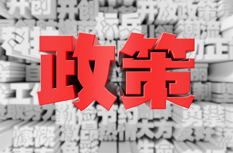 政府政策